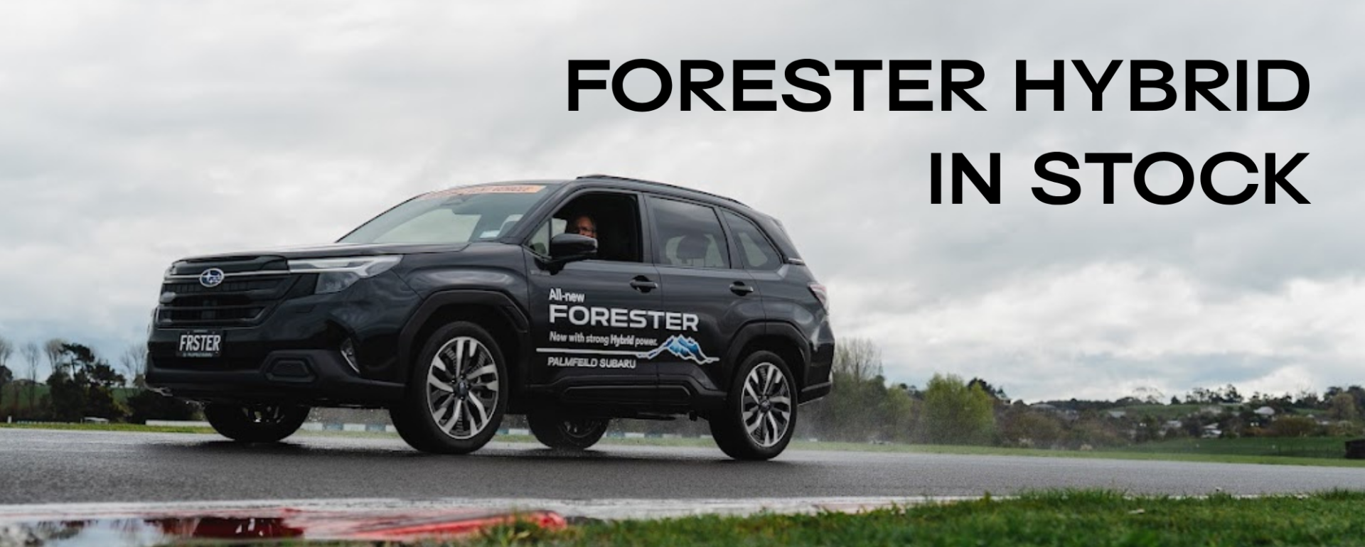 Forester Hybrid in Stock